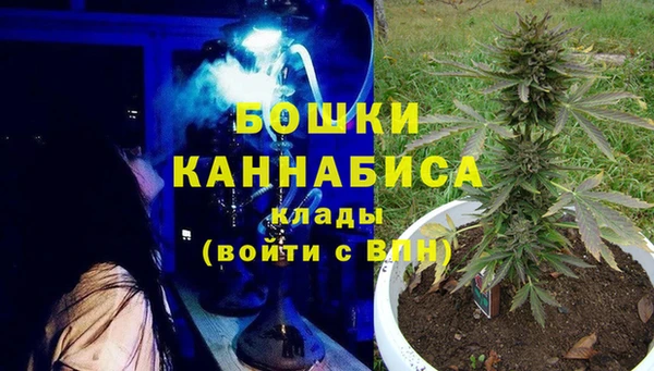 спиды Бородино