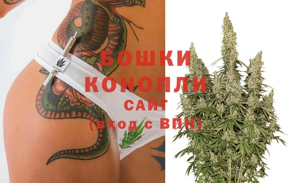 спиды Бородино