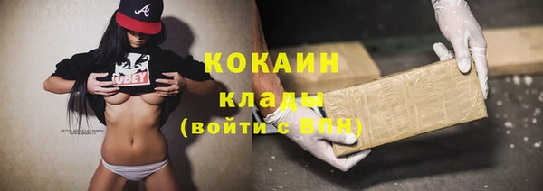 спиды Бородино