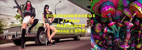 спиды Бородино