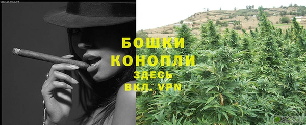 спиды Бородино