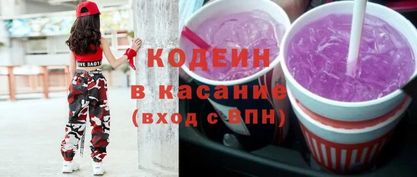 спиды Бородино